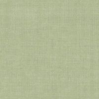 Dutch First Class Midolin 16038 - Groen Behang