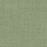 Dutch First Class Midolin 16039 - Groen Behang