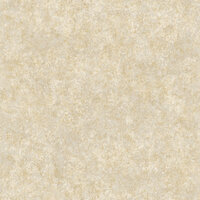 Dutch First Class Sahara 66062 - Beige Behang