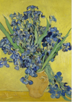 BN Wallcoverings Van Gogh 30545 Irissen 30545 - Multicolour Behang