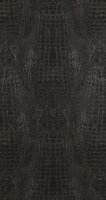 BN Wallcoverings Curious / Inspire 17950 - Zwart Behang