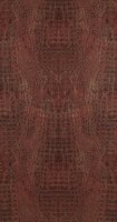 BN Wallcoverings Curious 17957 Behang