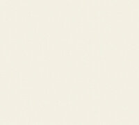AS Creation 111 Shades of White 3091-29 / 309129 - Wit Behang