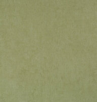 BN Color Stories 48474 - Groen Behang