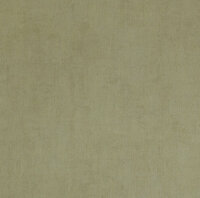BN Color Stories 218512 - Groen Behang