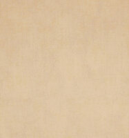 BN Indian Summer 218546 Behang
