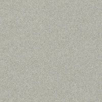 Rasch Passepartout 606652 Behang