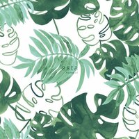 Esta Greenhouse 138886 - Groen Behang