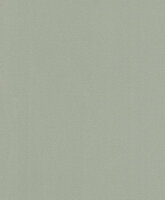 Rasch Sparkling 523140 Behang