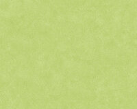 AS Creation Neue Bude 2.0 36206-7 - Groen Behang