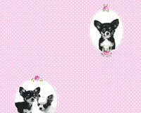 AS Creation Little Stars 35851-1 - Roze / Zwart Behang