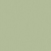 BN Wallcoverings Timeless Stories 219223 - Groen Behang