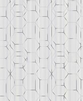 BN Wallcoverings Dimensions 219600 - Grijs - Wit Behang