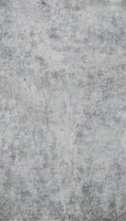 Dutch Wallcoverings One Roll One Motif MO6001 Behang