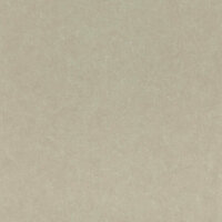 Casadeco So Color 4 SCOL28651320 - Grijs Behang