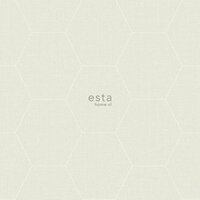 Esta Blush 148749 - Beige Behang