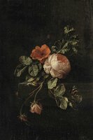 Esta Blush 158884 - Zwart - Rood Behang