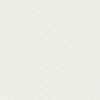 BN Wallcoverings Finesse 219726 Behang