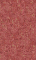 BN Van Gogh 2019 220040 - Rood Behang