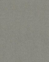 Dutch Wallcoverings Unis &amp; Textures 6 31342 Behang