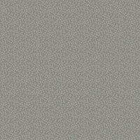 Dutch Wallcoverings Solitr 41011 Behang
