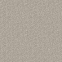 Dutch Wallcoverings Solitr 41012 Behang