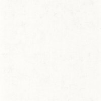 Caselio Beton BET101480000 - Wit Behang