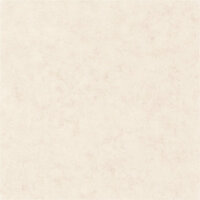 Caselio Beton BET101481002 - Beige Behang
