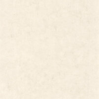 Caselio Beton BET101481258 - Beige Behang