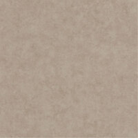 Caselio Beton BET101481462 - Beige Behang