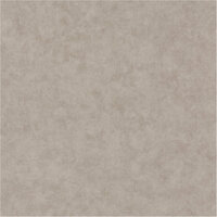 Caselio Beton BET101481795 - Beige Behang