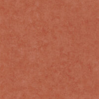 Caselio Beton BET101483000 - Oranje Behang