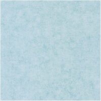 Caselio Beton BET101486000 - Blauw Behang