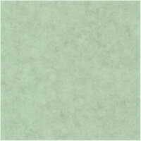 Caselio Beton BET101487516 - Groen Behang
