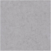 Caselio Beton BET101489134 - Grijs Behang