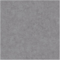 Caselio Beton BET101489260 - Grijs Behang