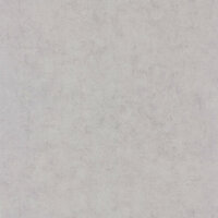 Caselio Beton BET101489460 - Grijs Behang