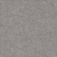 Caselio Beton BET101489600 - Grijs Behang