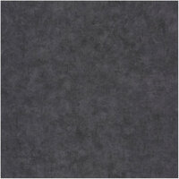 Caselio Beton BET101489899 Behang