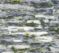 AS Creation Il Decoro 36492-1 | 364921 - Grijs / Zwart Behang