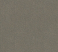 AS Creation Sumatra 37374-1 | 373741 - Grijs / Brons Behang