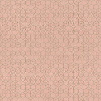 Rasch Highlands 550344 Behang