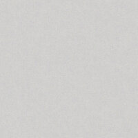 Dutch Wallcoverings Jungle Fever / Nomad JF1303 Behang