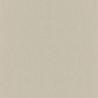 Rasch Kerala 501155 Behang