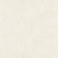 Rasch African Queen 3 - 423204 Creme Behang