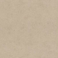 Rasch Kimono / Beachhouse 408164 Taupe Behang