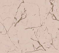 AS Creation Metropolitan Stories II Alena / St. Petersburg 37855-4 - 378554 - Roze / Beige Behang