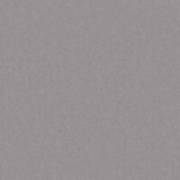 BN Wallcoverings Grand Safari 220503 - Grijs Behang