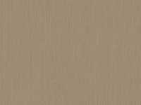 BN Wallcoverings Texture Stories Donker Beige 43875 - Beige Behang