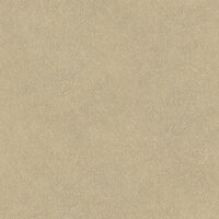 HookedOnWalls TAHITI LEATHER PLAIN TA25021 Behang